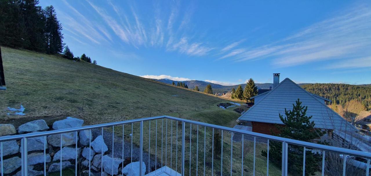 Adlernest Apartment Feldberg  Exterior photo